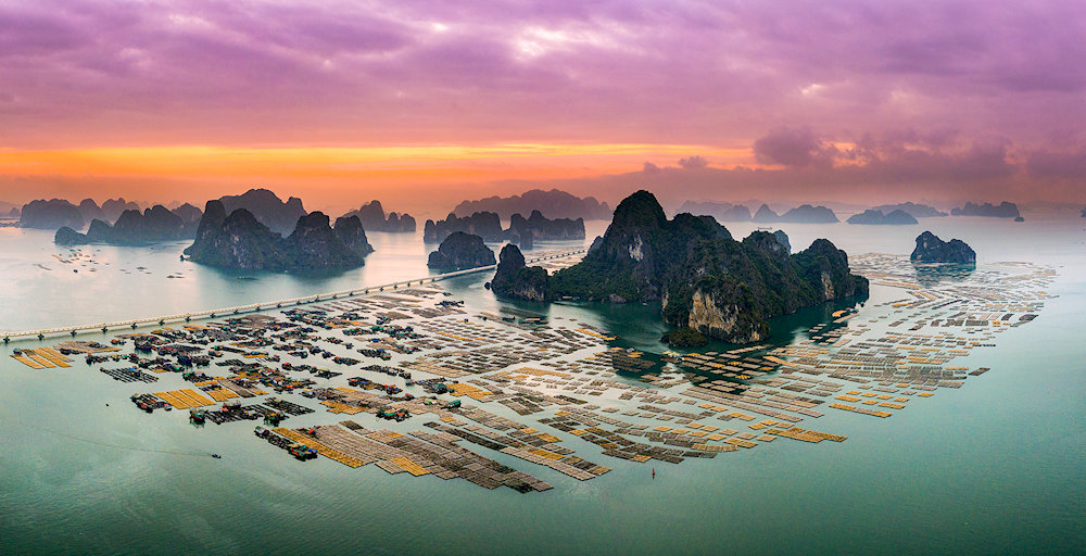 Bai Tu Long National Park has an incredibly diverse ecosystem